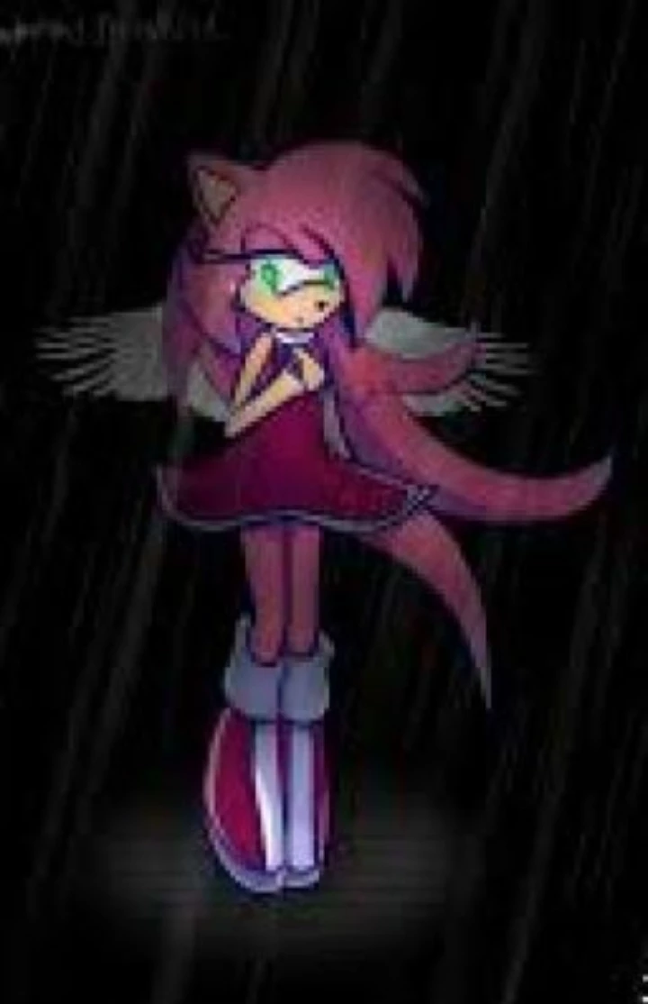 the last letters of Amy Rose thumbnail