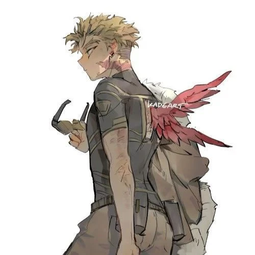 Hawks thumbnail