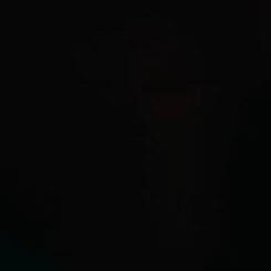usuario0000206