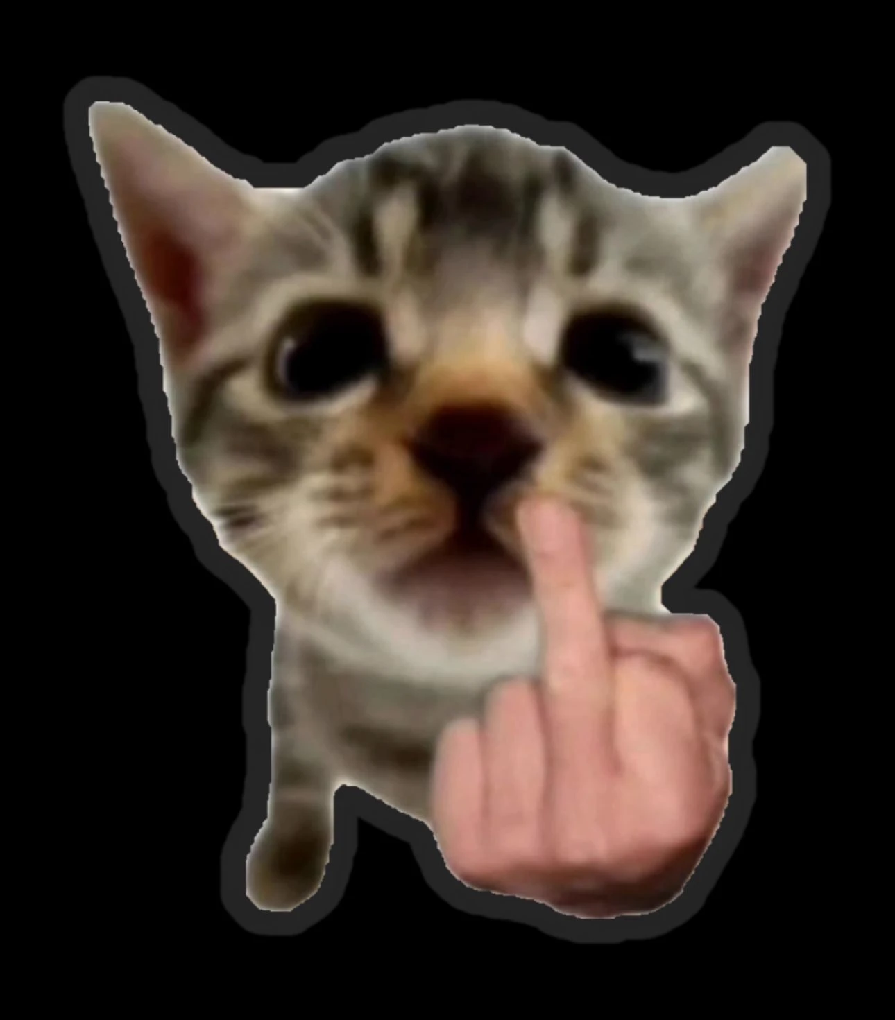 TWIXXEL/TWIXEL thumbnail