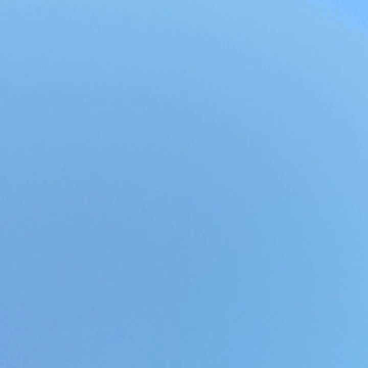 Kisu
