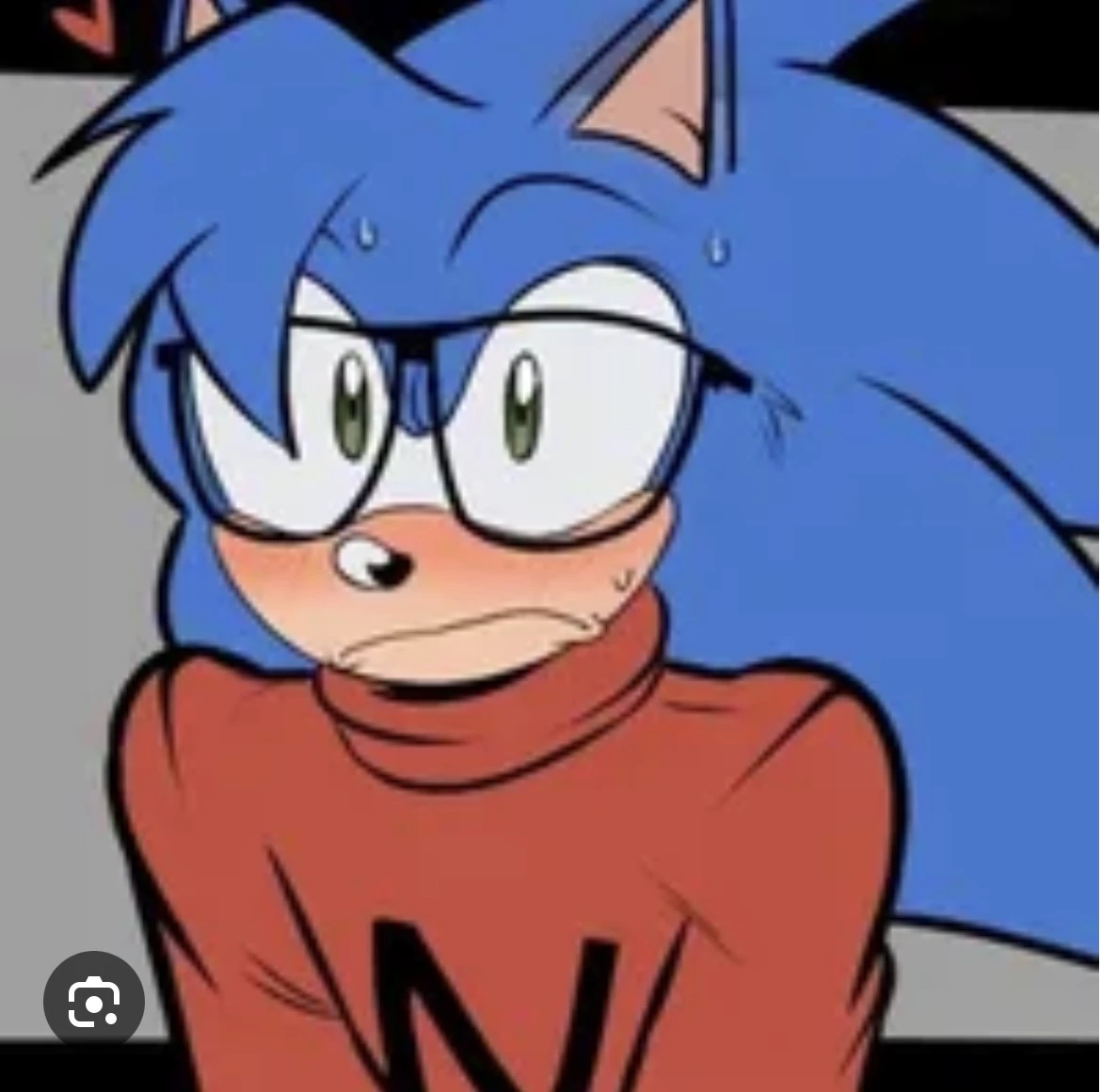 Nicky the hedgehog thumbnail