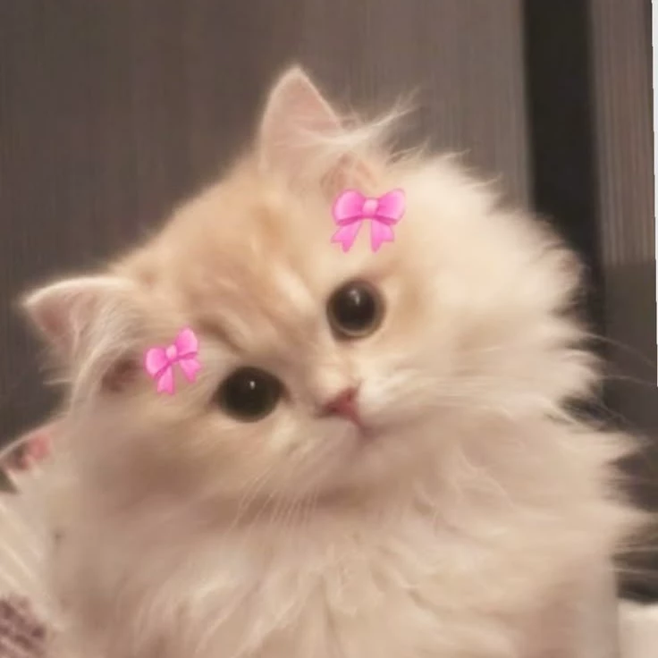 💗𝑴𝑨𝑹𝑾𝑨 💗