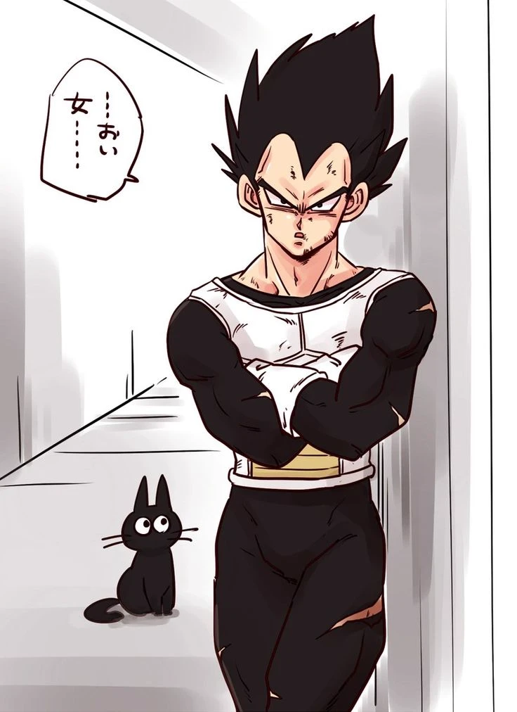 Husband Vegeta thumbnail