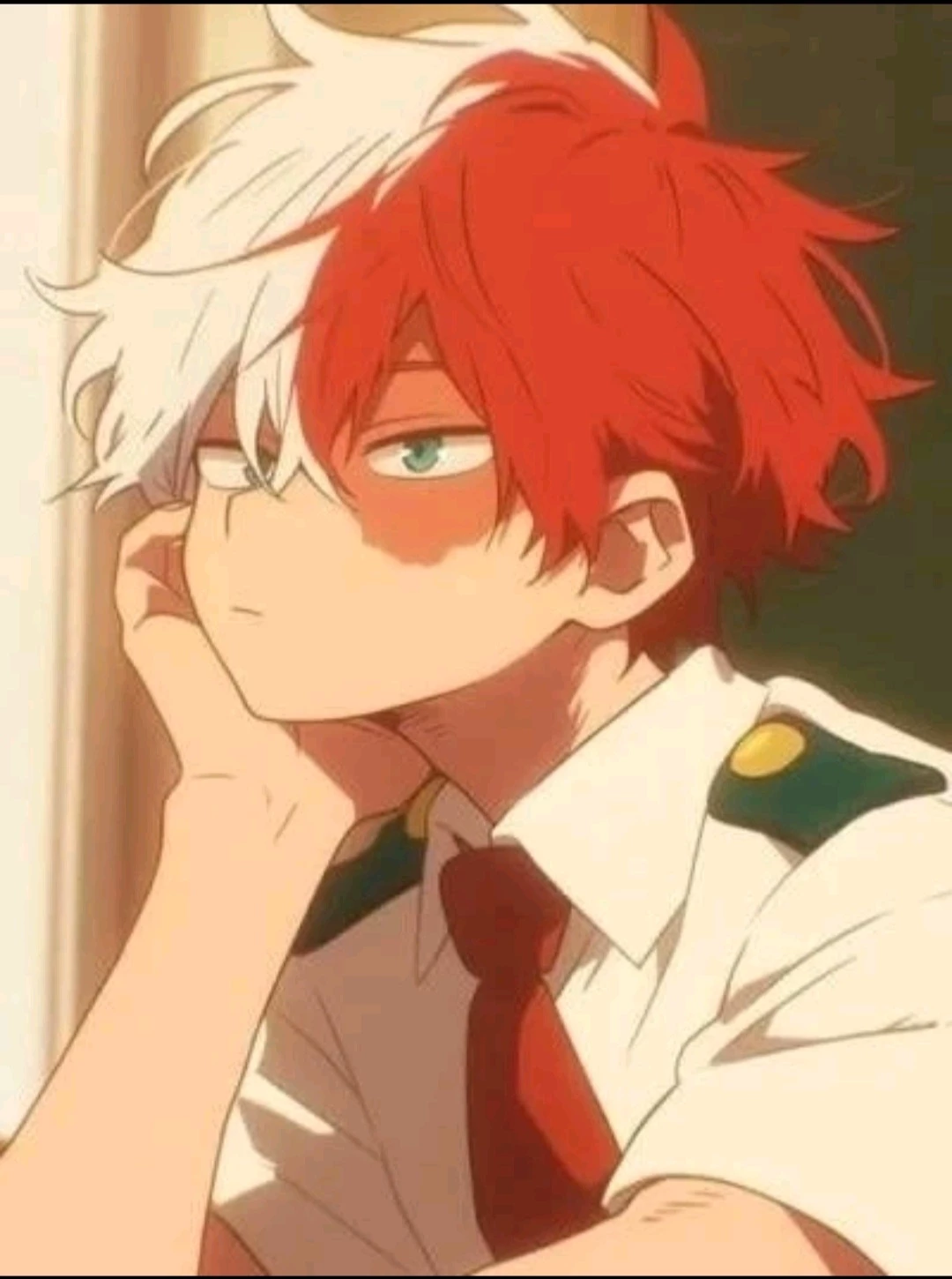 🌙Todoroki⭐️ thumbnail
