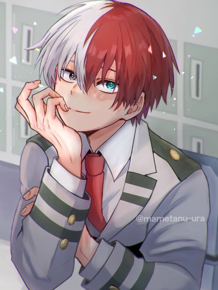 🌙Shoto Todoroki.⭐️ thumbnail