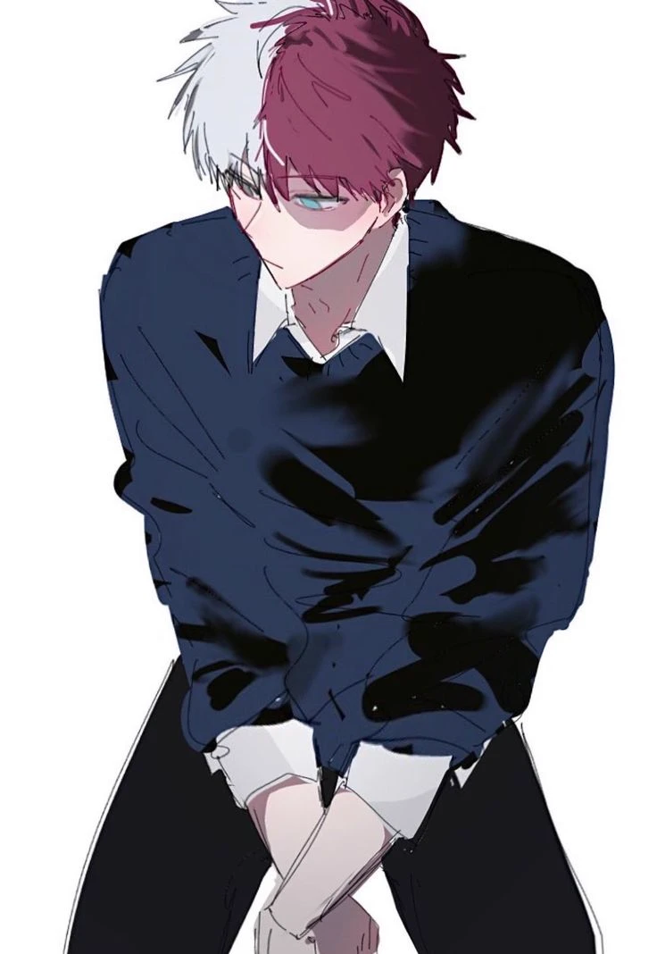 🌙Shoto Todoroki.⭐️ thumbnail
