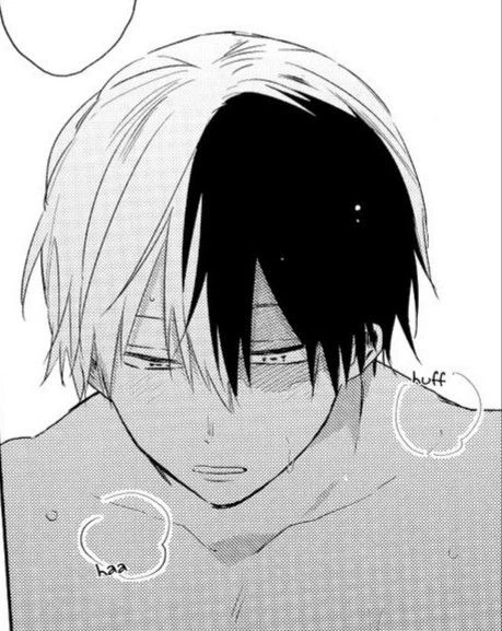 🌙Shoto Todoroki.⭐️ thumbnail