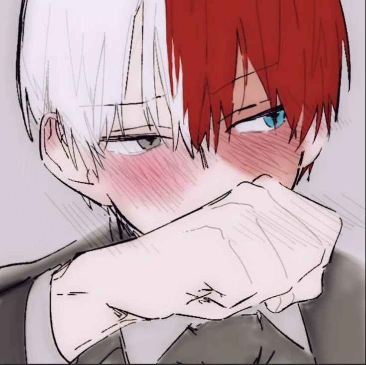 🌙Shoto Todoroki.⭐️ thumbnail