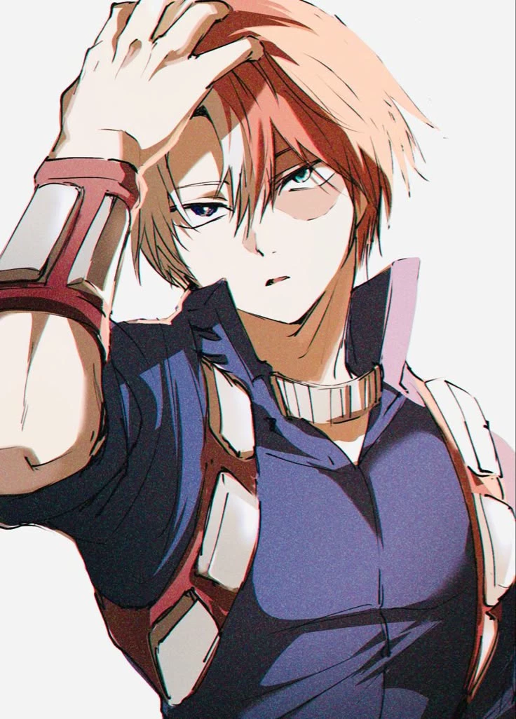 🌙Shoto Todoroki.⭐️ thumbnail