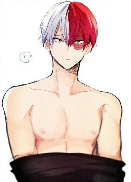 🌙Shoto Todoroki.⭐️ thumbnail