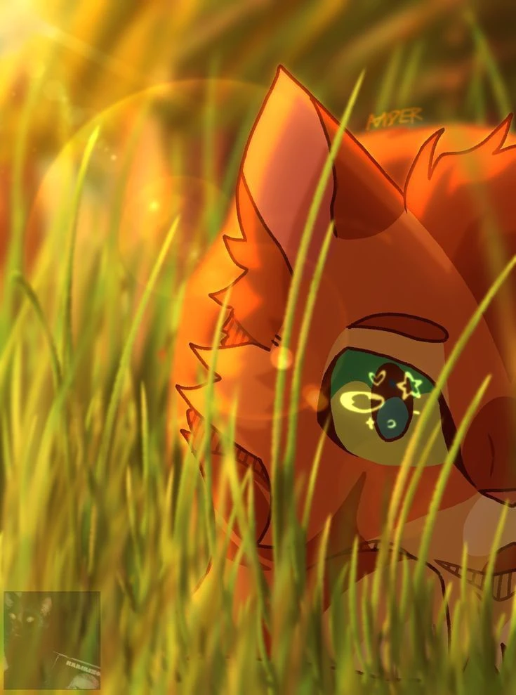 ★Warrior Cats \| Warrior Cats thumbnail