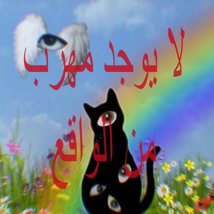 هيكاري