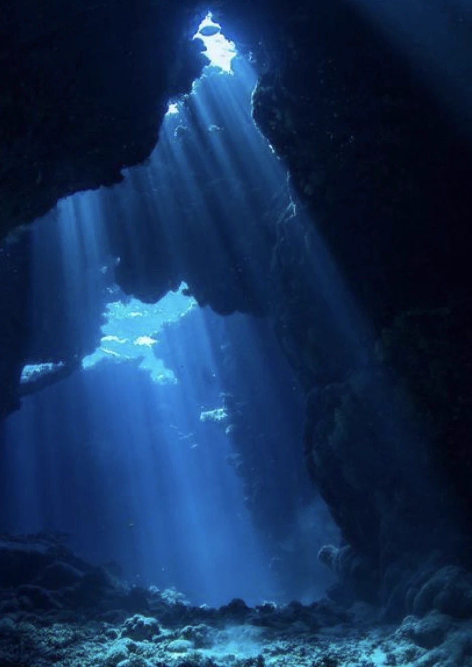 ✨🚢OCEAN 2.6 MILLION YEARS AGO🚢✨ thumbnail