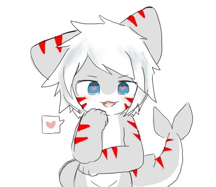 Female tigre shark thumbnail