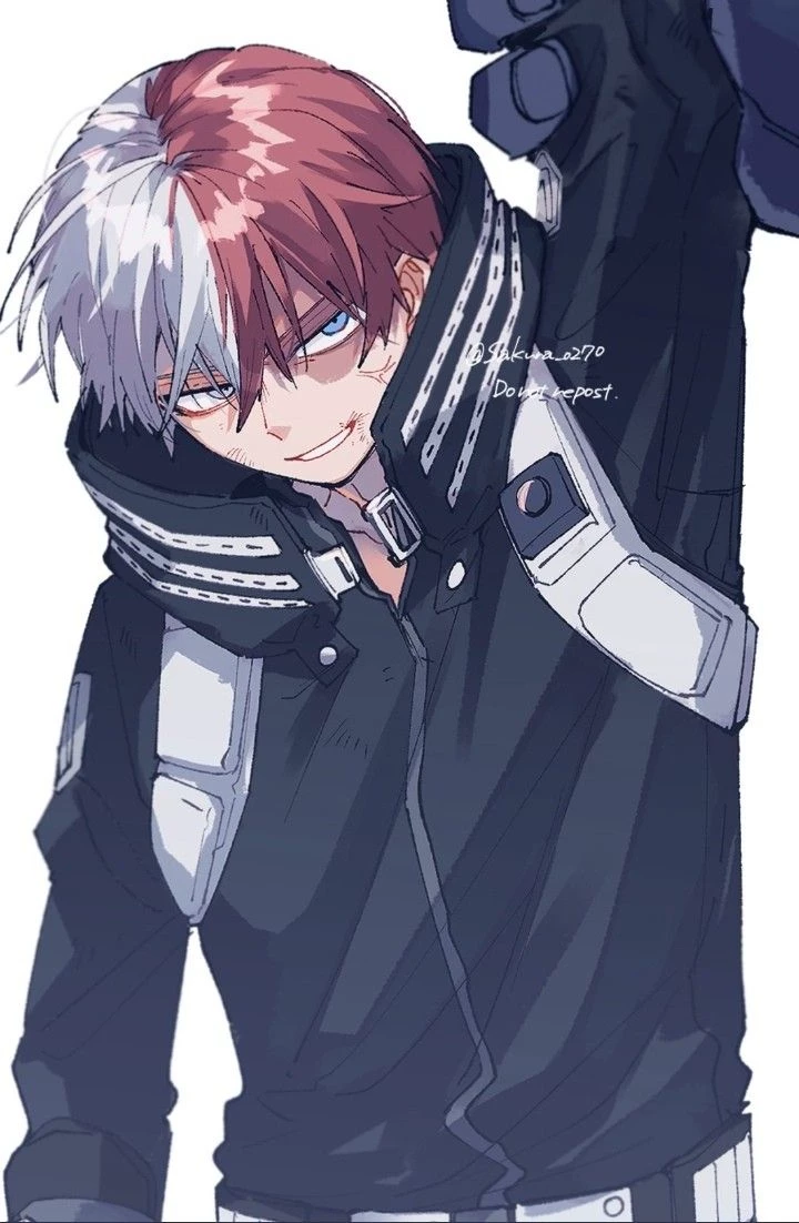 shoto Todoroki thumbnail