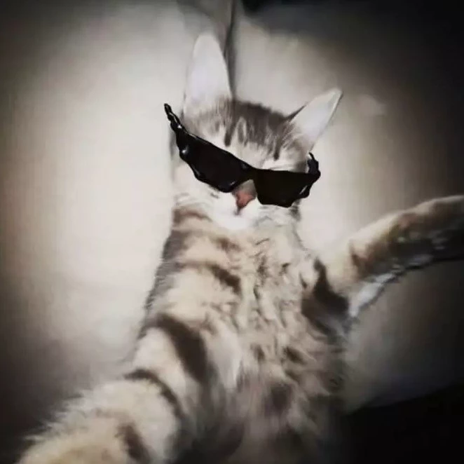 Luna ♪