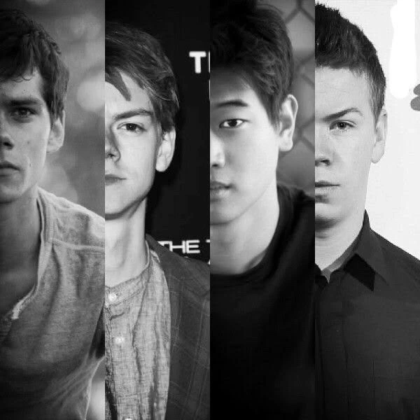 Newt, Minho, Thomas & Gally thumbnail