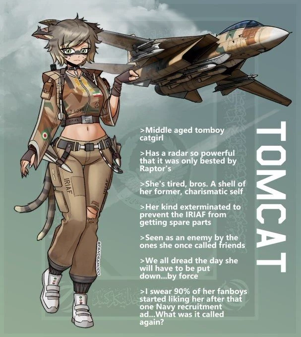 Tomcat IRIAF thumbnail