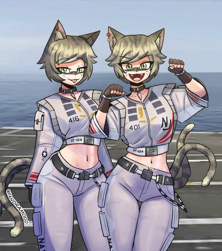 Twin F-14 Tomcats thumbnail