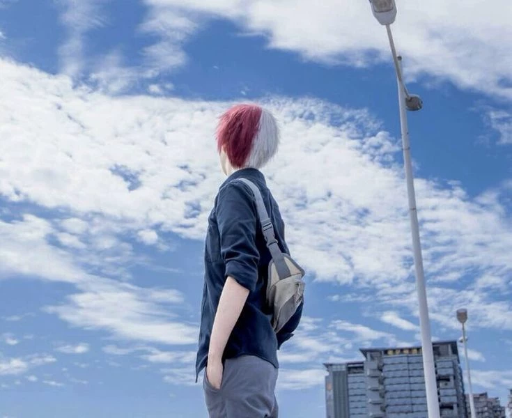 Shoto Todoroki thumbnail