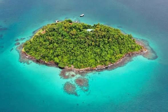 the island thumbnail