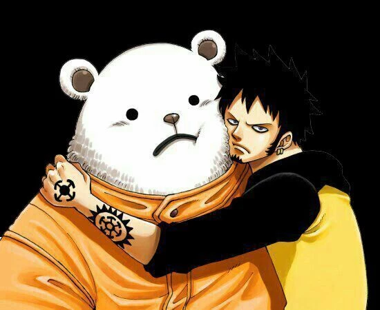 Trafalgar Law❤️🗣️ thumbnail