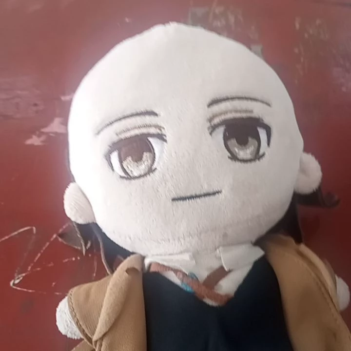 Soi gei