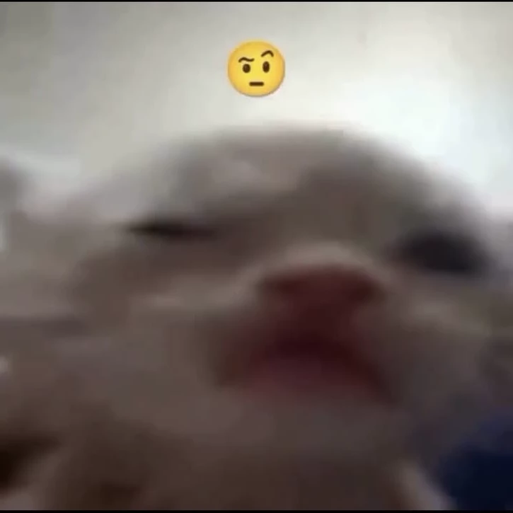 Noah