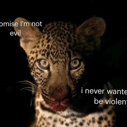 🖤🐒ᴇsᴛᴇʟʟᴀ🐒🖤