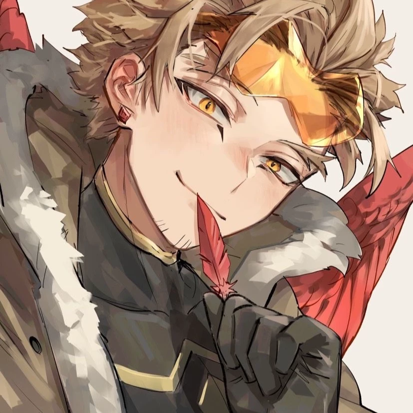 HAWKS-KEIGO TAKAMI thumbnail