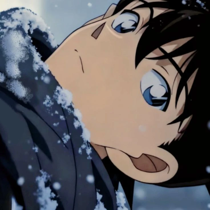 Shinichi Kudo thumbnail
