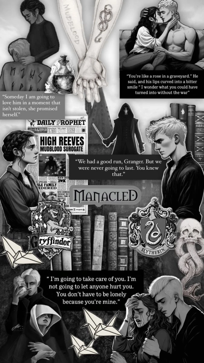 Harry Potter Era: Next Chapter thumbnail
