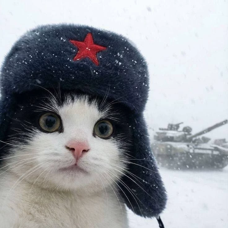 Саша