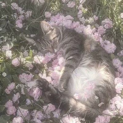 ангел†