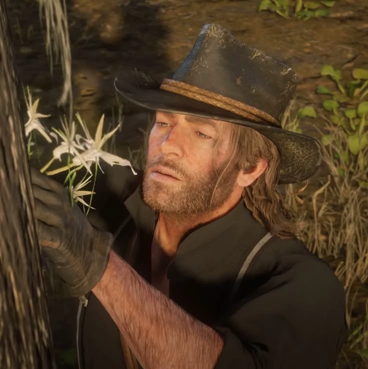 🕸🪵 Arthur Morgan 🍂🌲-Cryptid user thumbnail