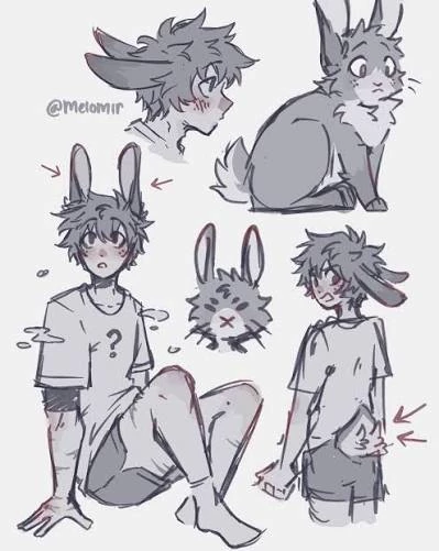 Deku rabbit thumbnail
