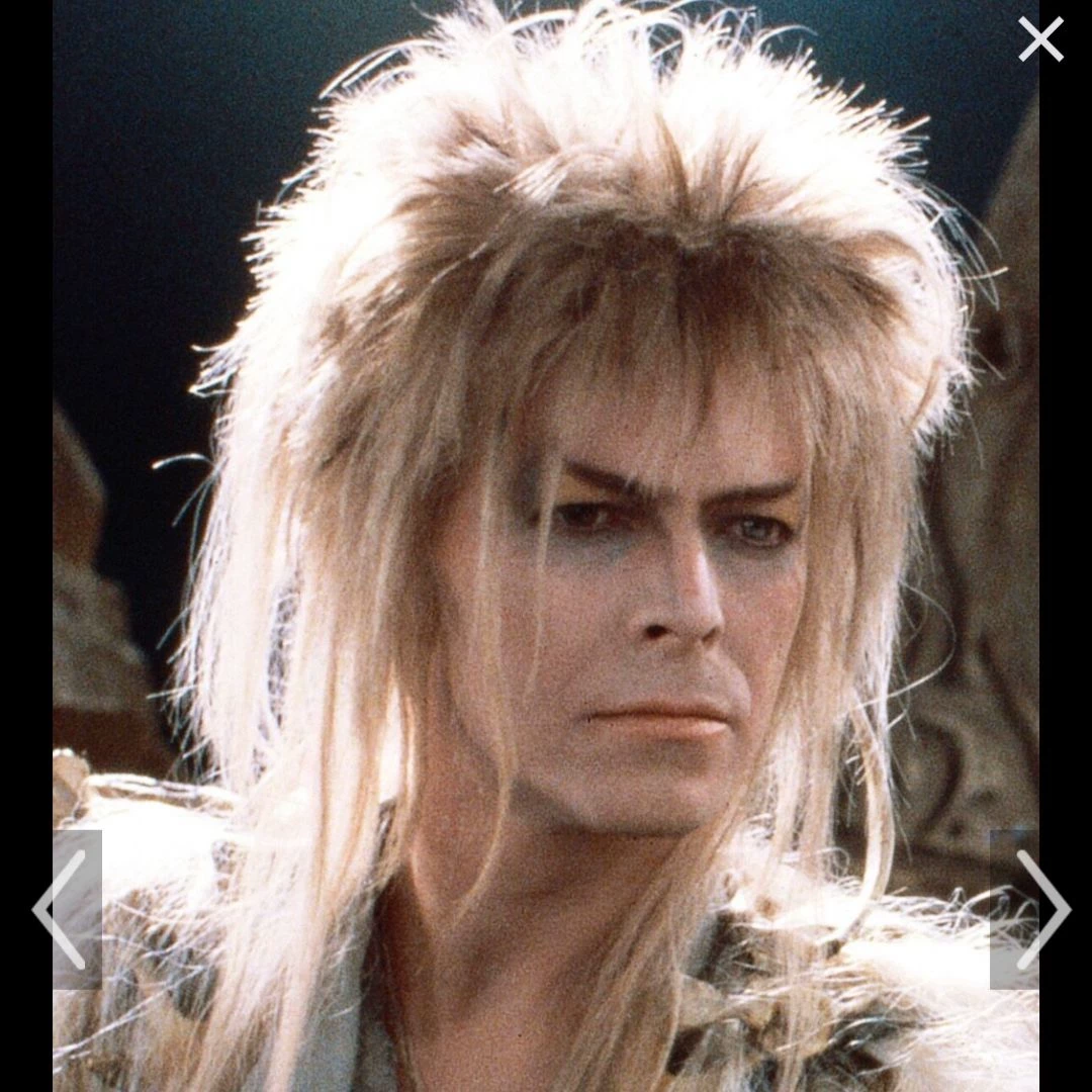 Jareth, the Goblin King thumbnail