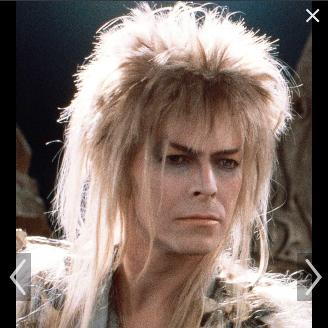 Jareth, the Goblin King thumbnail