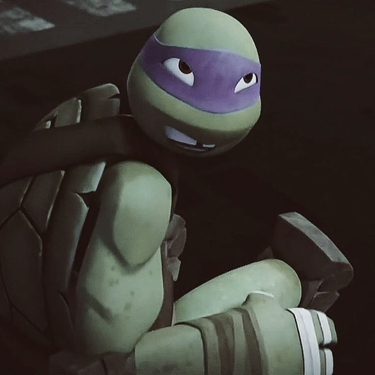 Donatello Hamato thumbnail