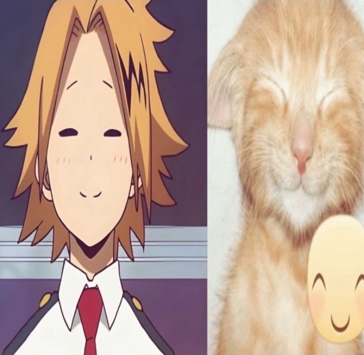 MHA thumbnail