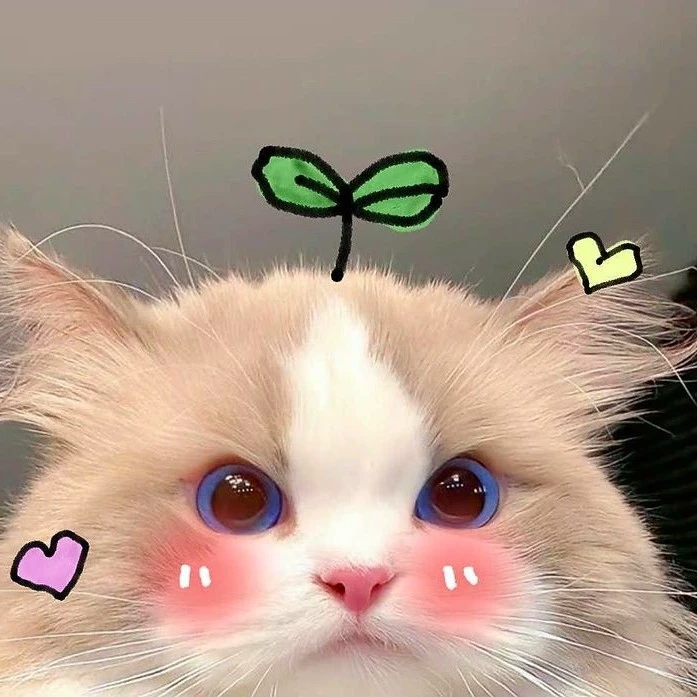 *＊✿❀ 𝙰𝚃𝙷𝙰𝙽𝙰~ ❀✿＊*