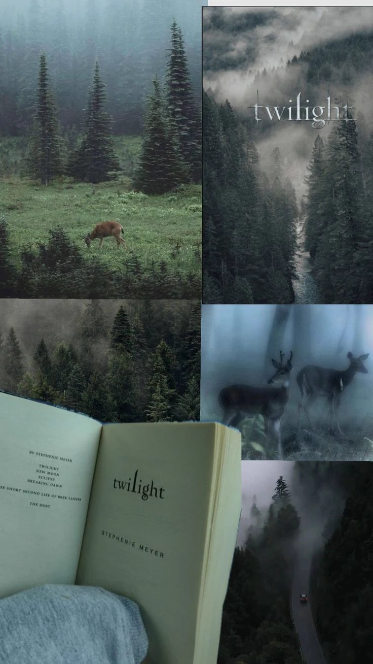 •°Twilight - Twilight saga.° thumbnail