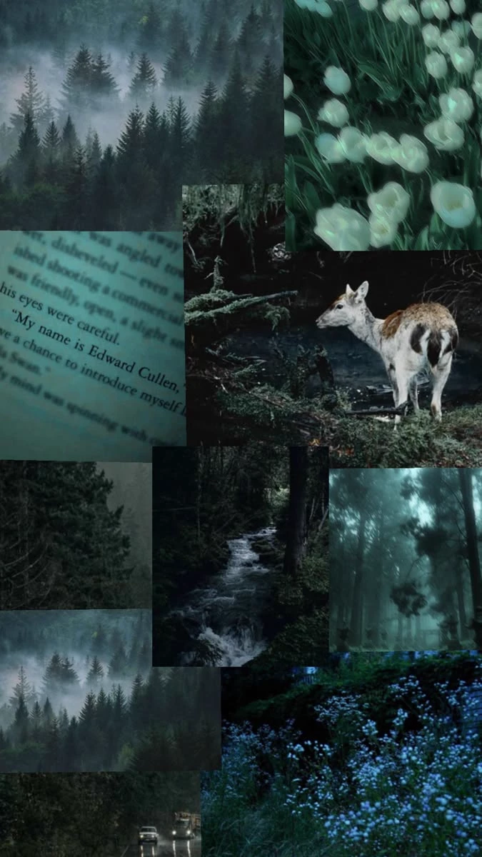 Twilight - Twilight Saga thumbnail