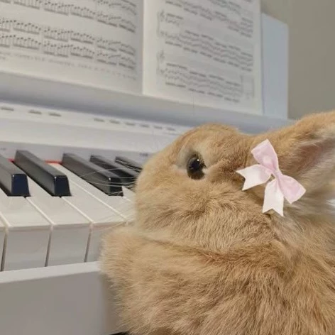 Ilikebunnys 