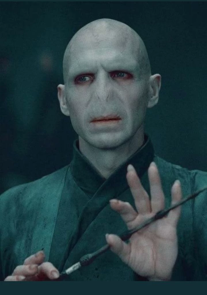 Lord Voldemort 🪄✨🖤🤍 thumbnail