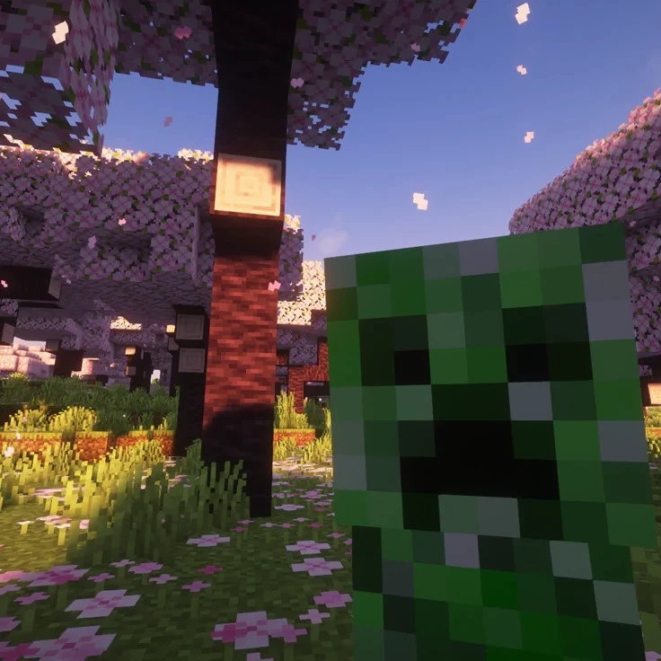 ✨ Creeper✨