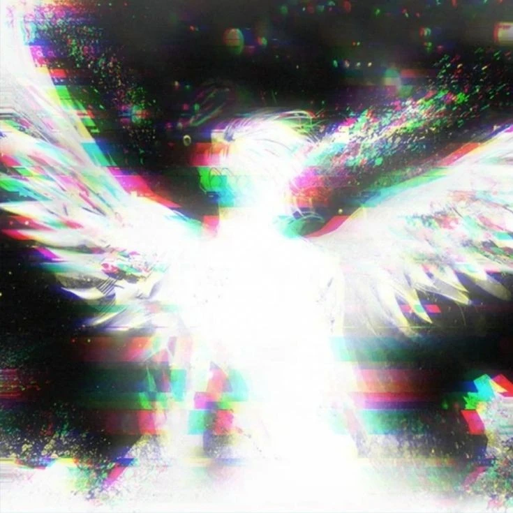 Xavier