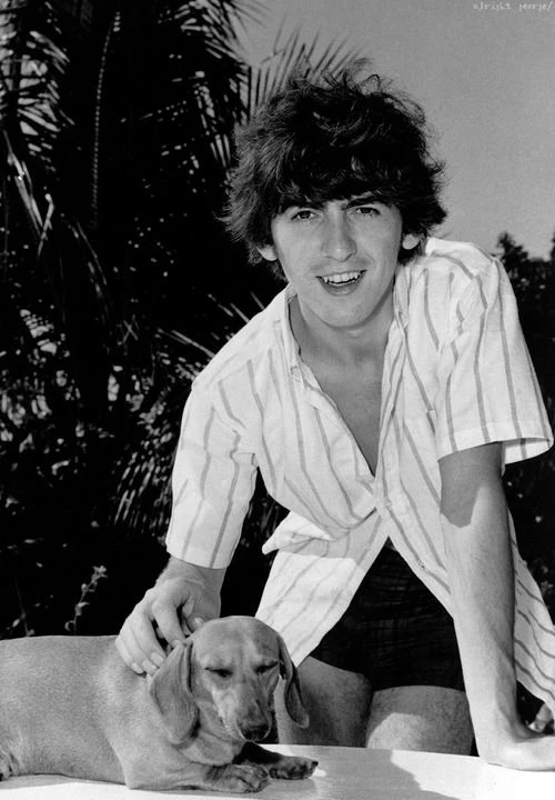 George Harrison thumbnail