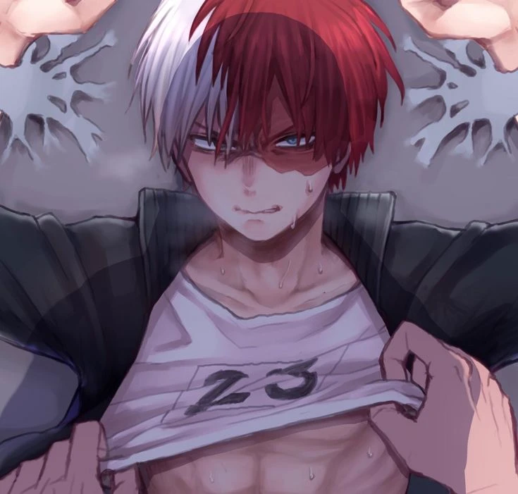 • Shoto Todoroki • thumbnail